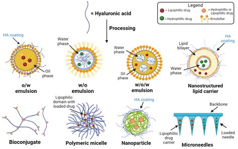  Hyaluronan: O Polímero Maravilhoso para Aplicações Biomédicas e Cosméticas!